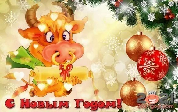Новый 2021 год: картинки новогодние в год Быка