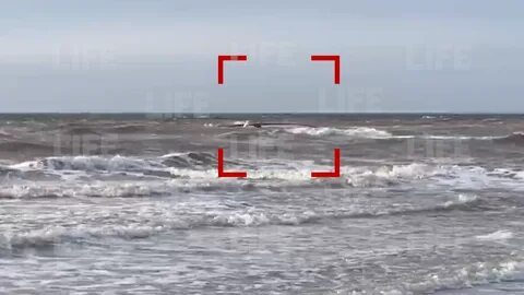 Белое море буквы