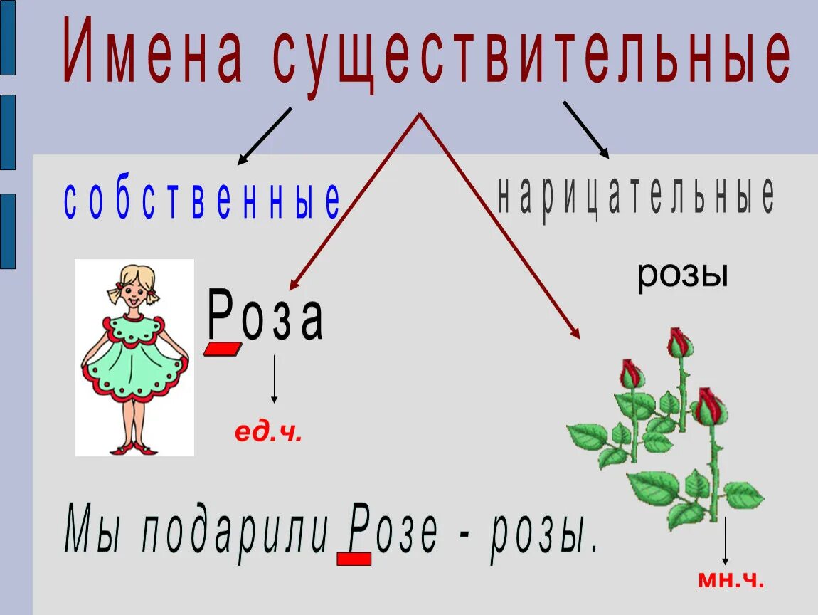 Число имён существительных 3 класс. Существительные единственного и множественного числа. Имя существительное 3 класс. Число имен существительных презентация.