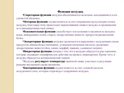 5 функций желудка