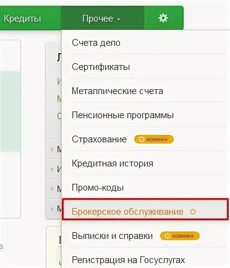 Раздел прочее в Сбербанке. Вкладка прочее