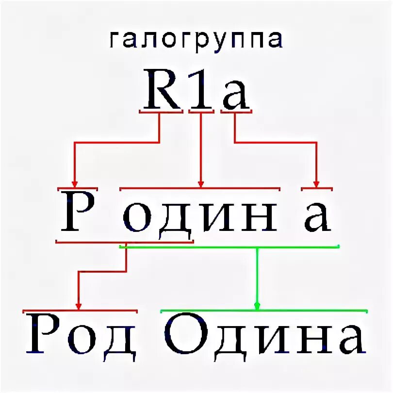 1 r 1 r1 1 r1