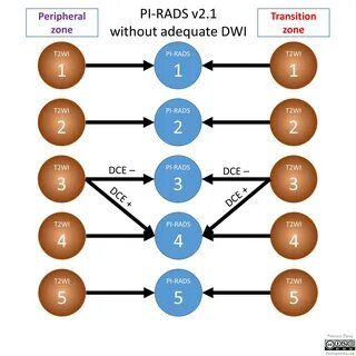 Категории pi rads