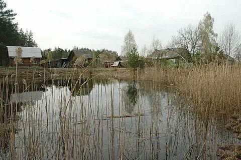 Горки рязанская область