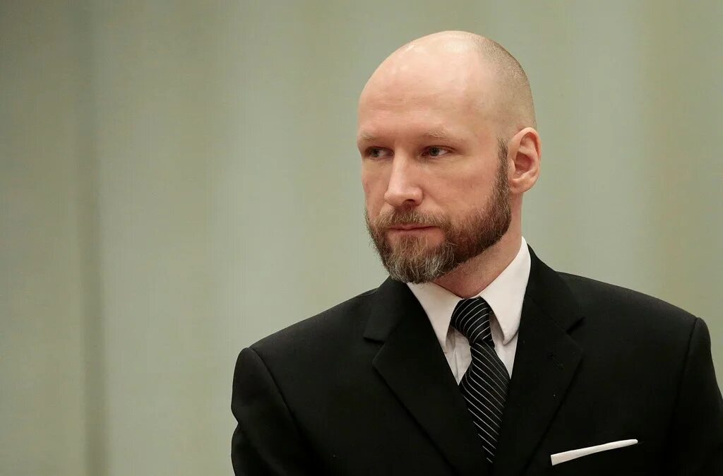 Норвежский стрелок андерс брейвик. Йенс давид брейвик. Бревик. Андерс беринг брейвик 2011. Бревик.