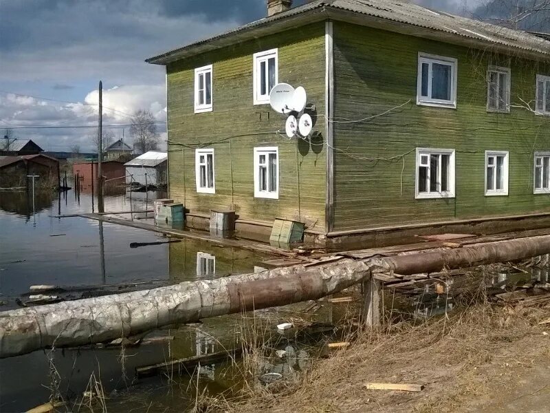 Норвежский сайт березнике виноградовского