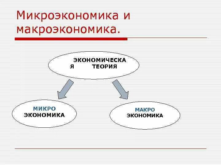 Макроэкономика и микроэкономика егэ. Макроэкономика и микроэкономика егэ
