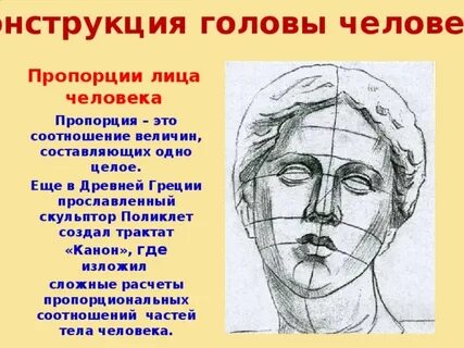 Пропорции человека 6 класс