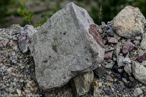 Забайкальская 14