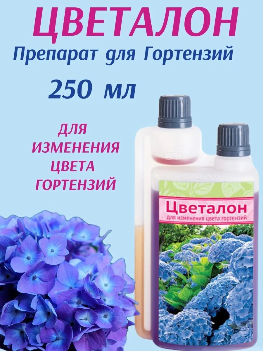 Полить гортензию для цвета. Цветалон для гортензий. Препарат для изменения цвета гортензии. Удобрение для гортензии для изменения цвета.