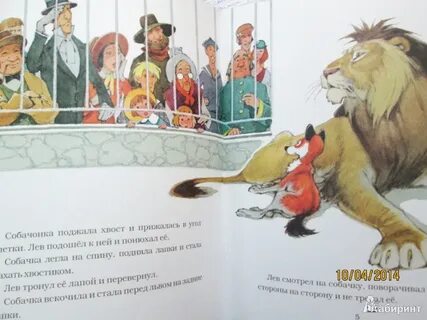 Лев и собачка читательский дневник