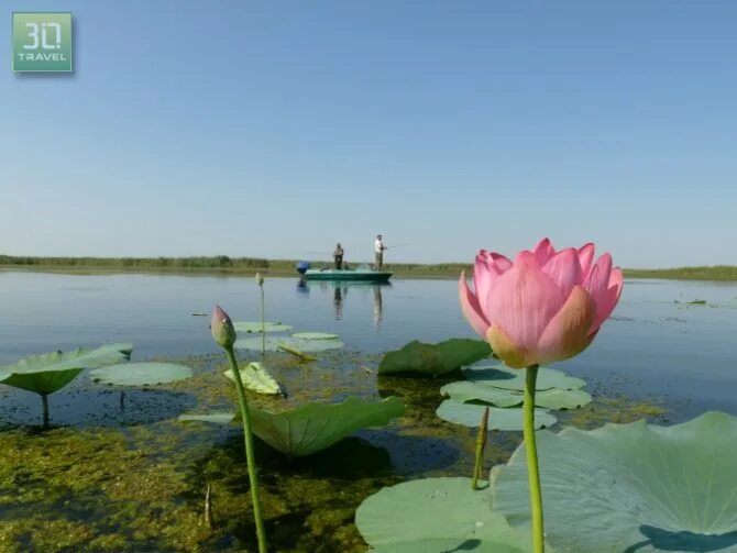 водоемы астраханской области. озеро лотосов хабаровский край. река астраханка татарстан. дельта реки волга астраханская область. астрахань, водоемы астрахани.
