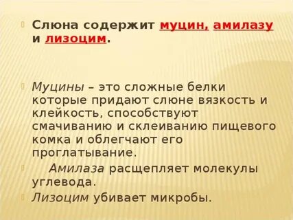 Муцин в слюне