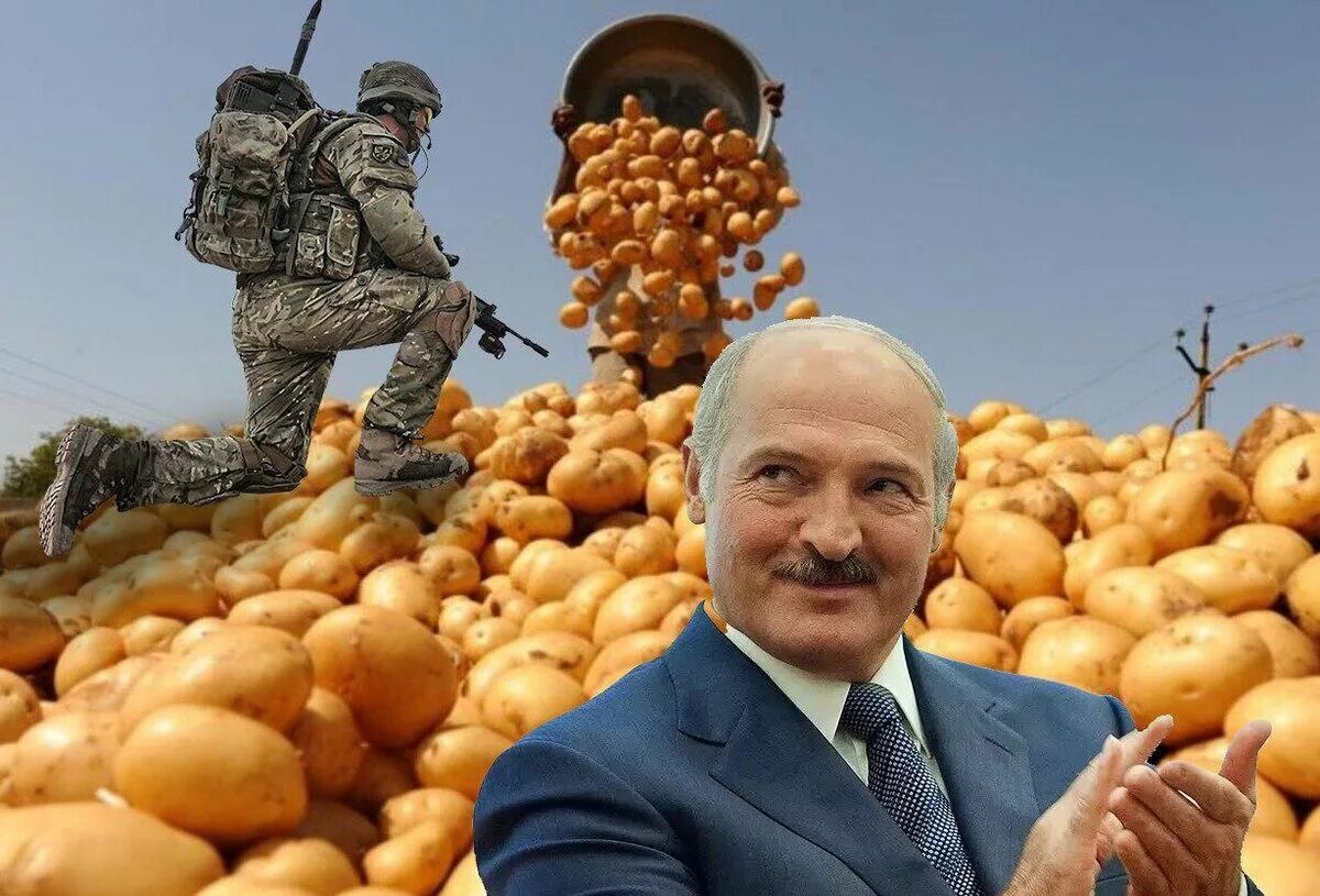 лукашенко ест картошку. приколы про белорусов и картошку. александр григорьевич лукашенко картошка. крахмальный барон лукашенко. лукашенко ест картошку.