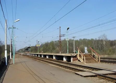 Шарапова охота