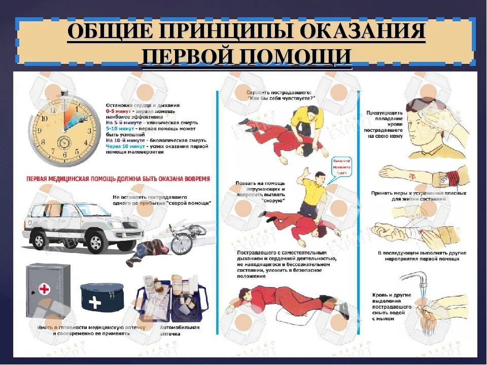 Первая помощь сообщение по обж. Основные принципы и правила оказания первой помощи. перечислите основные принципы оказания пмп. обж общие принципы оказания первой помощи пострадавшему. общие принципы оказания первой медицинской помощи (пмп)..