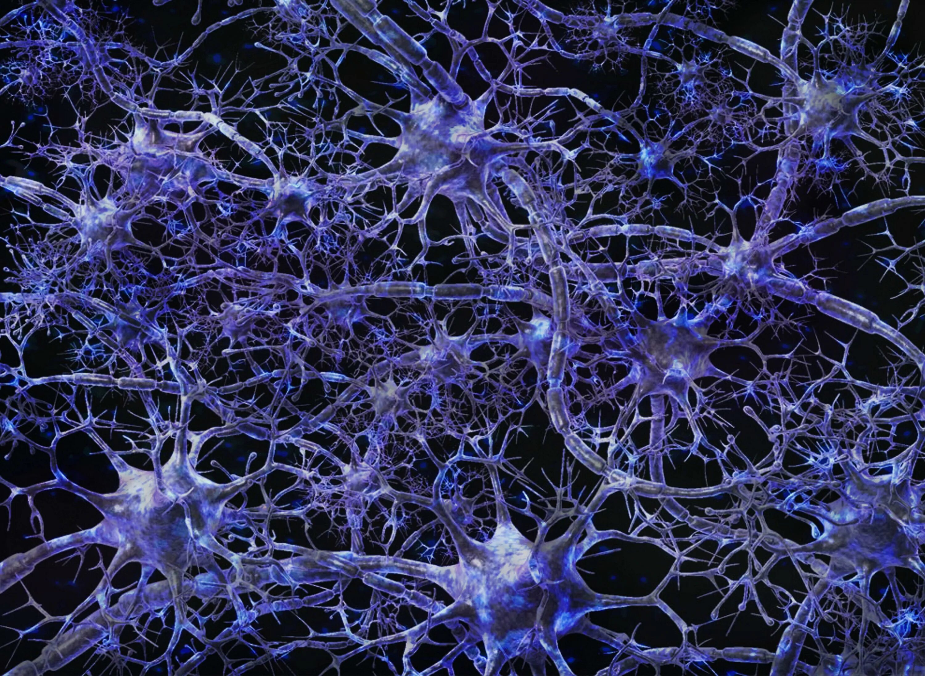 Нейронная сеть нервной системы. Нейронные микросети. Нейрон нейросети. Нейрон клетка головного мозга.