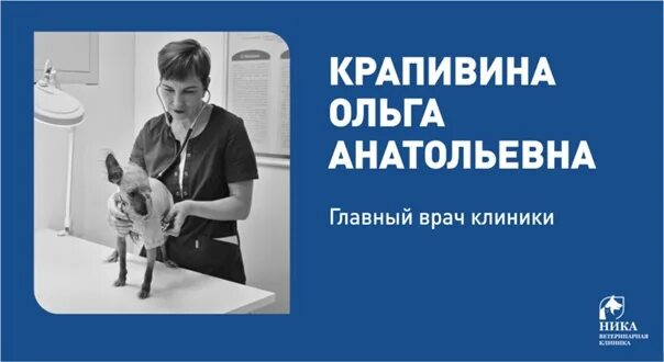 Ветеринарная клиника "Феликс" - KOTiKO.ru