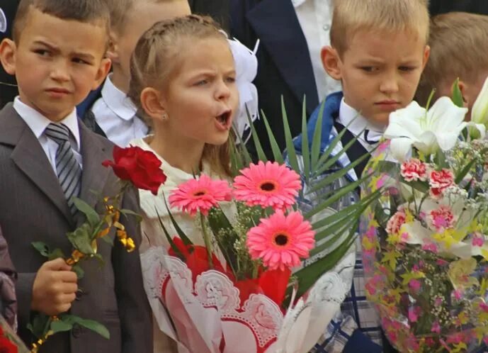 Фотографии новых школ Гродно. 40 школа гродно электронный