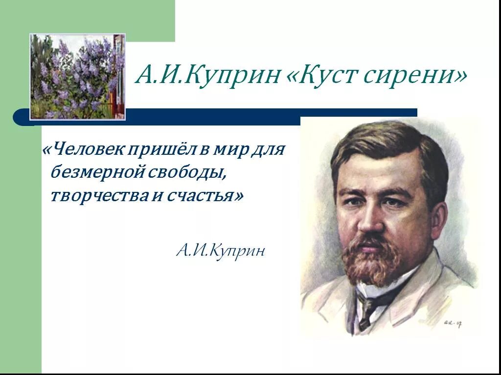 Счастье в произведениях русской. Куст сирени Куприн. Куприна. Куст сирени Куприн книга. Человек пришел в мир для безмерной свободы творчества и счастья.