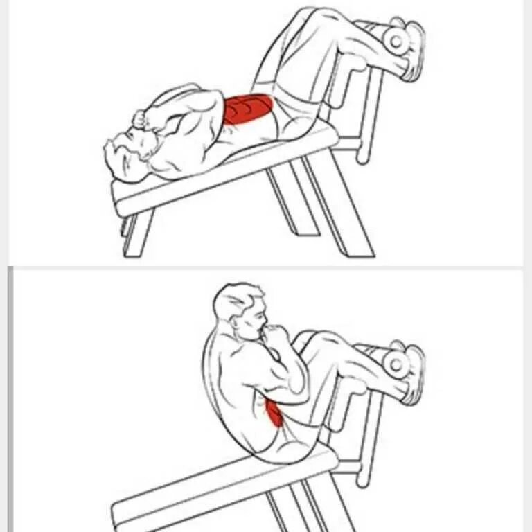 Как накачать пресс в зале. Упражнения для пресса в тренажерке. Упражнения на Нижний пресс в тренажерном зале. Упражнения на пресс в тренажерке. Упражнения на пресс в спортзале для мужчин.