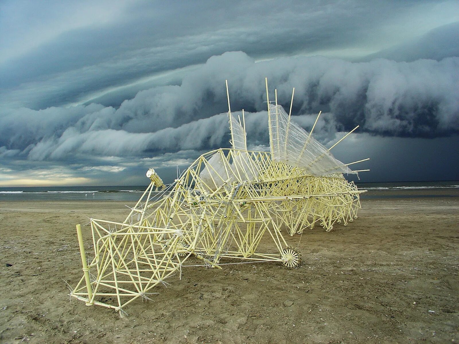 Wind action