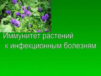 Растения устойчивые к болезням