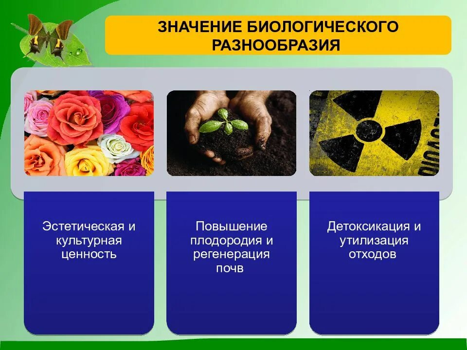 Многообразие и значение животных урок биологии 5