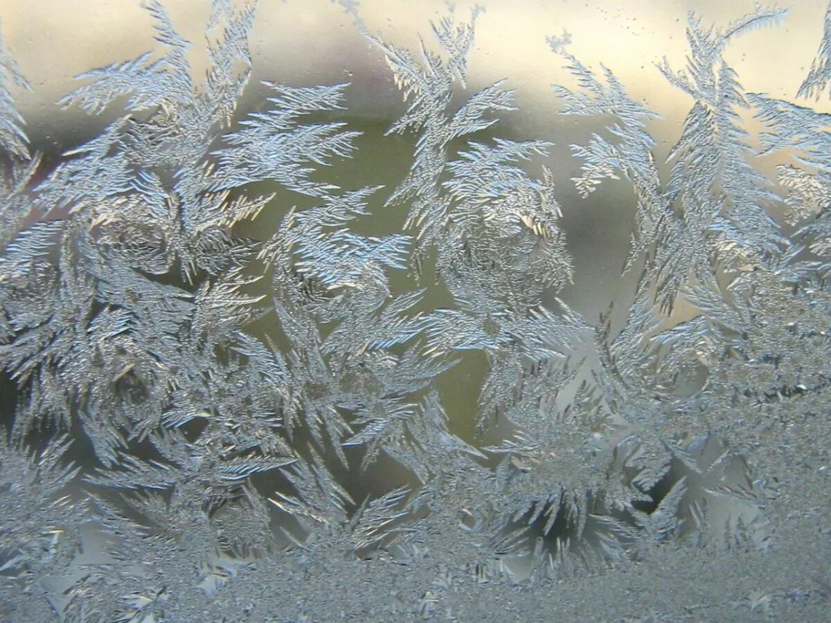 Эффект заморозки. Зимние узоры на окнах. Снежные узоры на окнах. Морозные узоры на окне. Зимние узоры на стекле.
