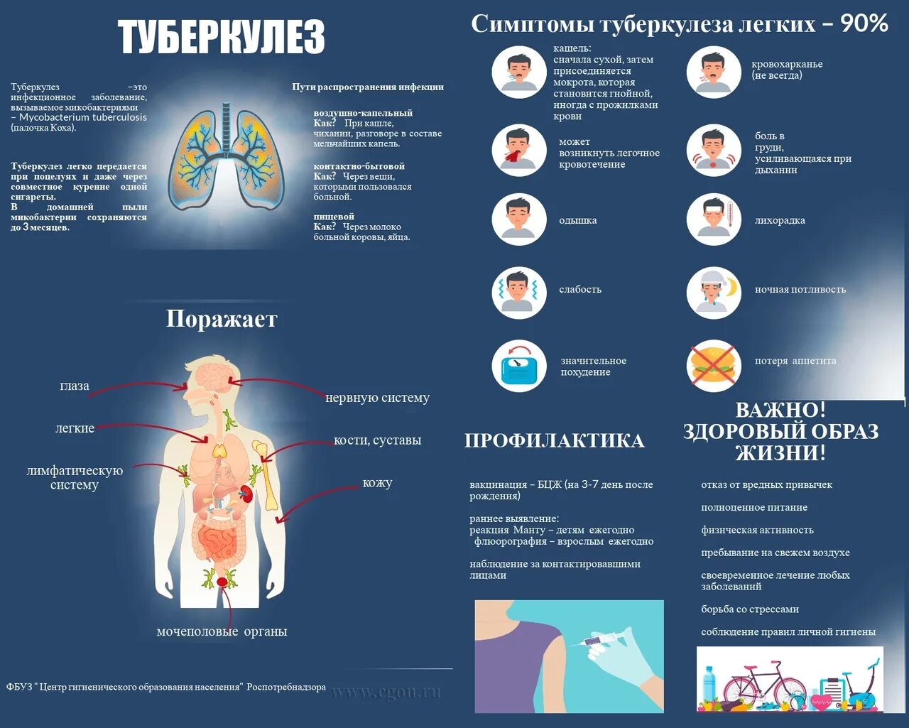 Стенд туберкулез