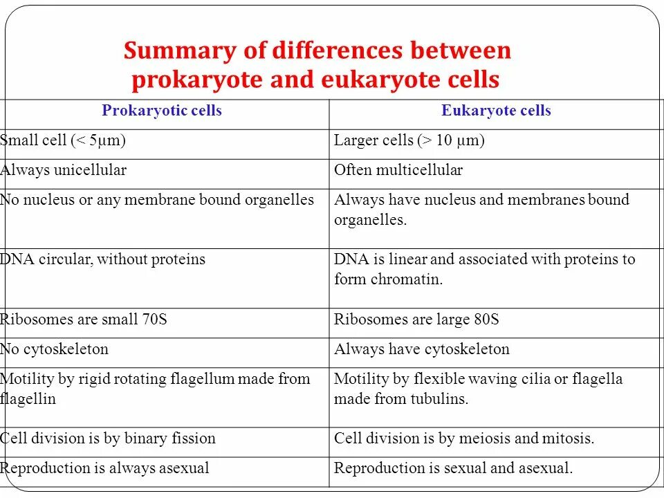 Difference between. Differences between eukaryotes and prokaryotes. difference between prokaryotic and eukaryotic cell. compare prokaryotic and eukaryotic cells.. prokaryotes and eukaryotes.