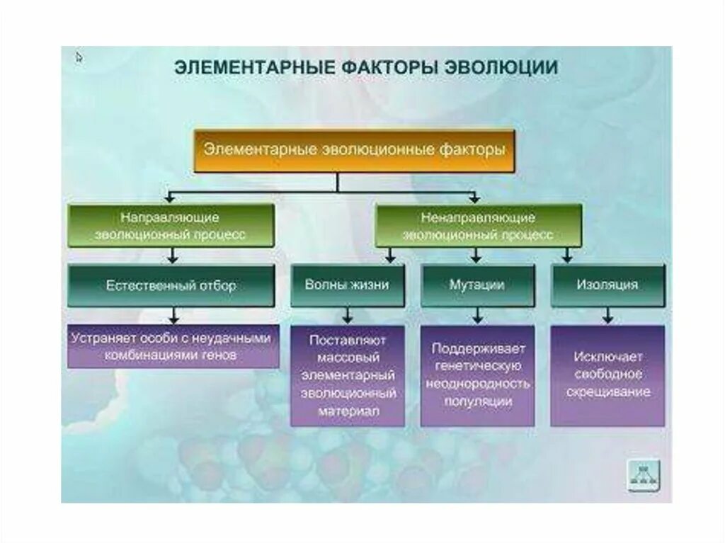 Под влиянием каких факторов эволюции происходит процесс. Элементарные эволюционные факторы таблица. элементарные факторы эволюции таблица. элементарные эволюционные факторы схема. элементарные эволюционные факторы 9 класс таблица.