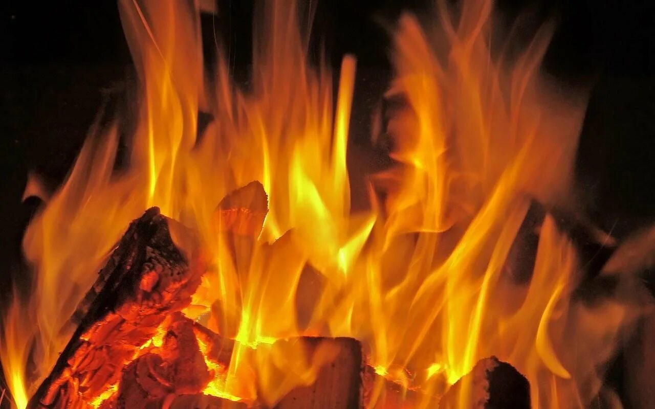 Живого огня интернет. Костер камин. Живой огонь костёр. Живой огонь на руси. Горящие дрова.