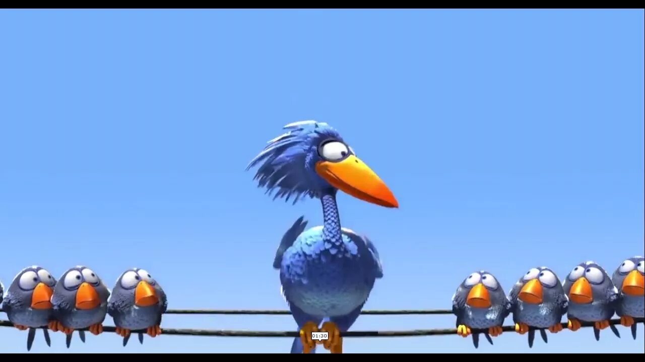 The birds part 1
