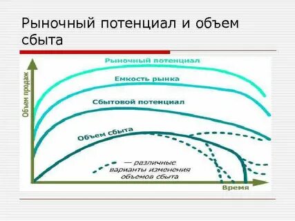 Развитие рыночного потенциала