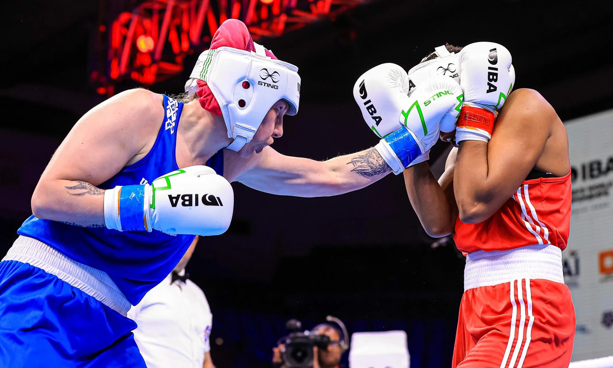 Алжирская боксерская. Boxing фото. Женский бокс в бикини нокауты. Алжирская боксерская. Алжирская боксерская.