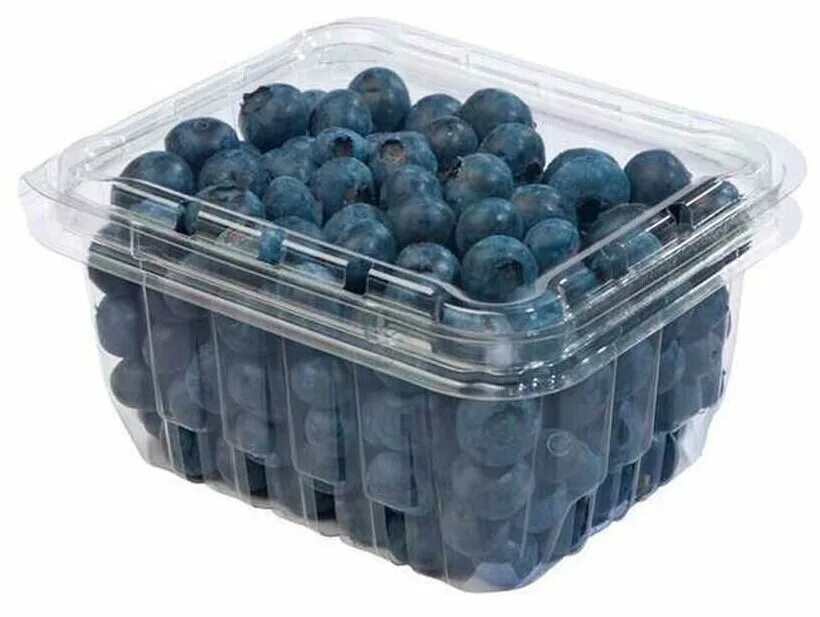 Голубика свежая купить. Упаковка для ягод. Черника в упаковке. Голубика в контейнерах. Контейнер для ягод.