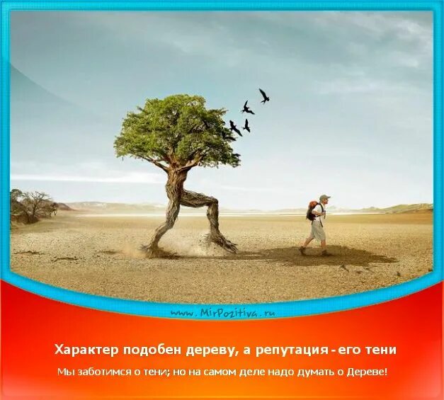 Характер подобен. Характер подобен дереву а репутация его тени мы заботимся о тени. Характер подобен дереву а репутация его. Мудрые высказывания о деревьях. Дерево мудрых мыслей.