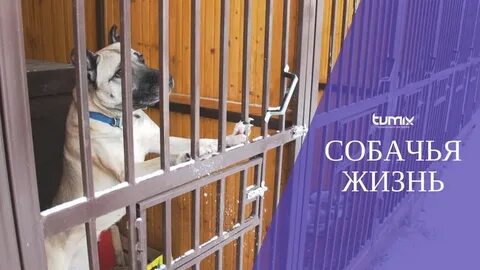 Не выпускают из дома