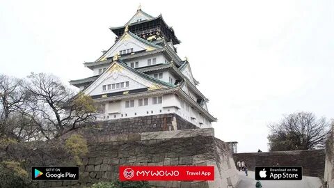 A dog lives in the imperial palace