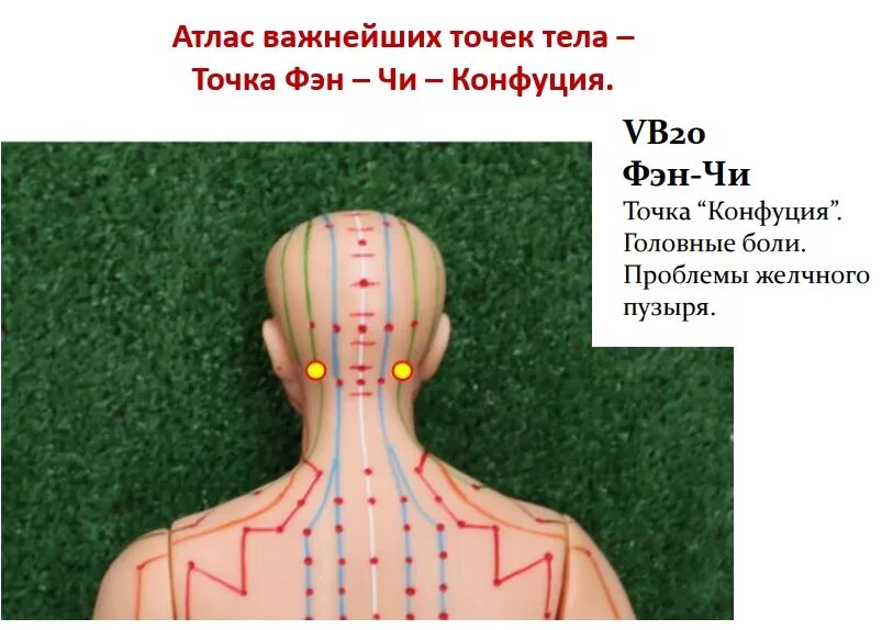 Точка vb20 фэн-чи. Точки на шее для массажа. Точка Конфуция. Точка фэн фу.