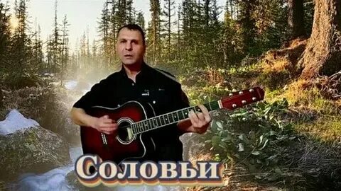 Тайга песня авторы
