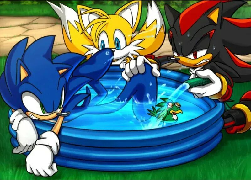 Sonic x tails 18. соник и тейлз шип. тейлз r34. Tails фанфики. тейлз и соника x.