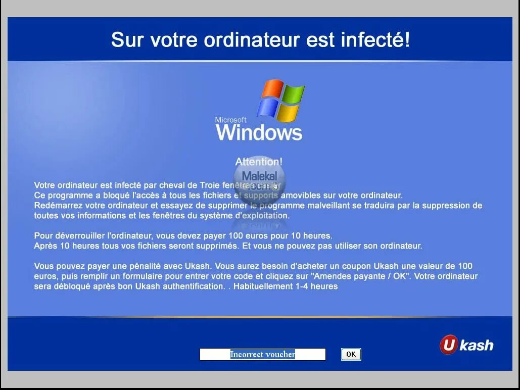 Microsoft windows вирус. Windows вирус. windows xp вирус. троян виндовс. фото вируса виндовс.