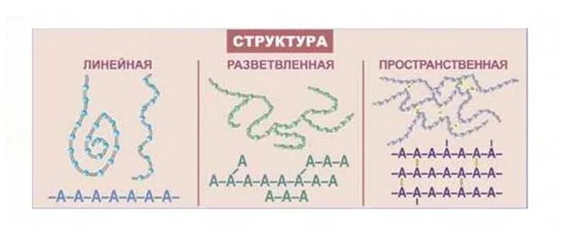 Линейное разветвленное строение. Структуры полимеров линейная разветвленная пространственная. форма макромолекул вмс. структура макромолекул вмс. строение полимеров.