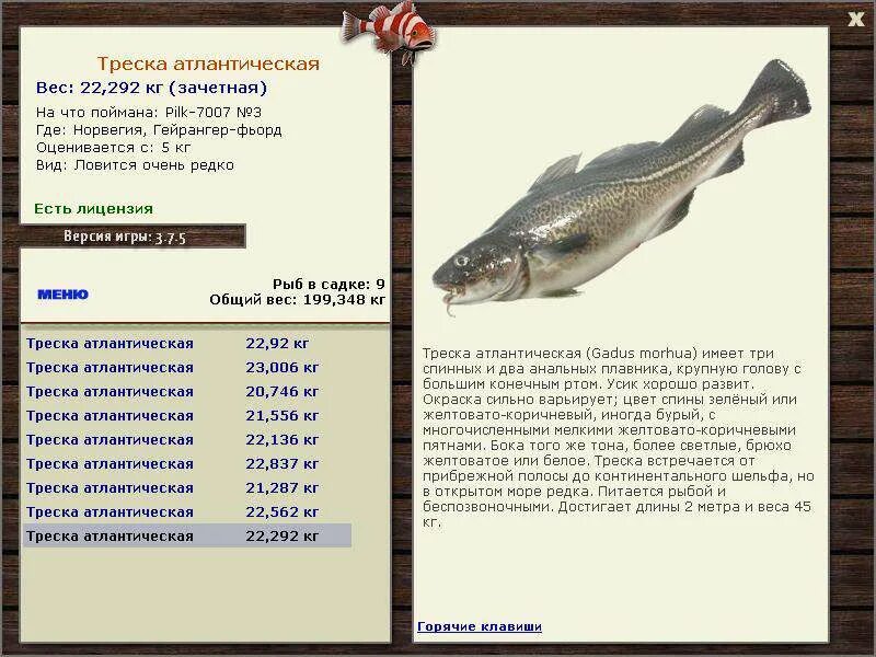 пищевая ценность трески. треска свойства. чем полезна треска для организма человека. вес рыбы трески. треска свойства.