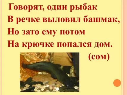 Говорят один рыбак в речке