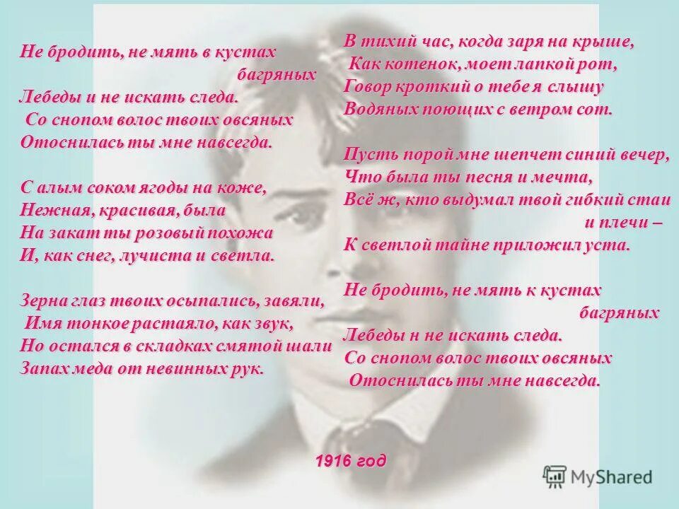 Есенин не бродить. В кустах багряных есенин. Есенин не бродить не мять в кустах. Стих есенина не бродить не мять в кустах. Не бродить не мять в кустах багряных.