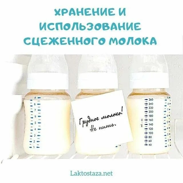 Можно ли добавлять молоко в сцеженное. Хранение сцеженного молока. хранение сцеженного грудного молока. сцеженное грудное молоко хранение. емкости для хранения сцеженного молока в холодильнике.