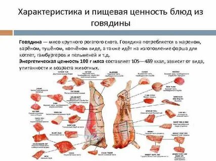 Характеристика говядины